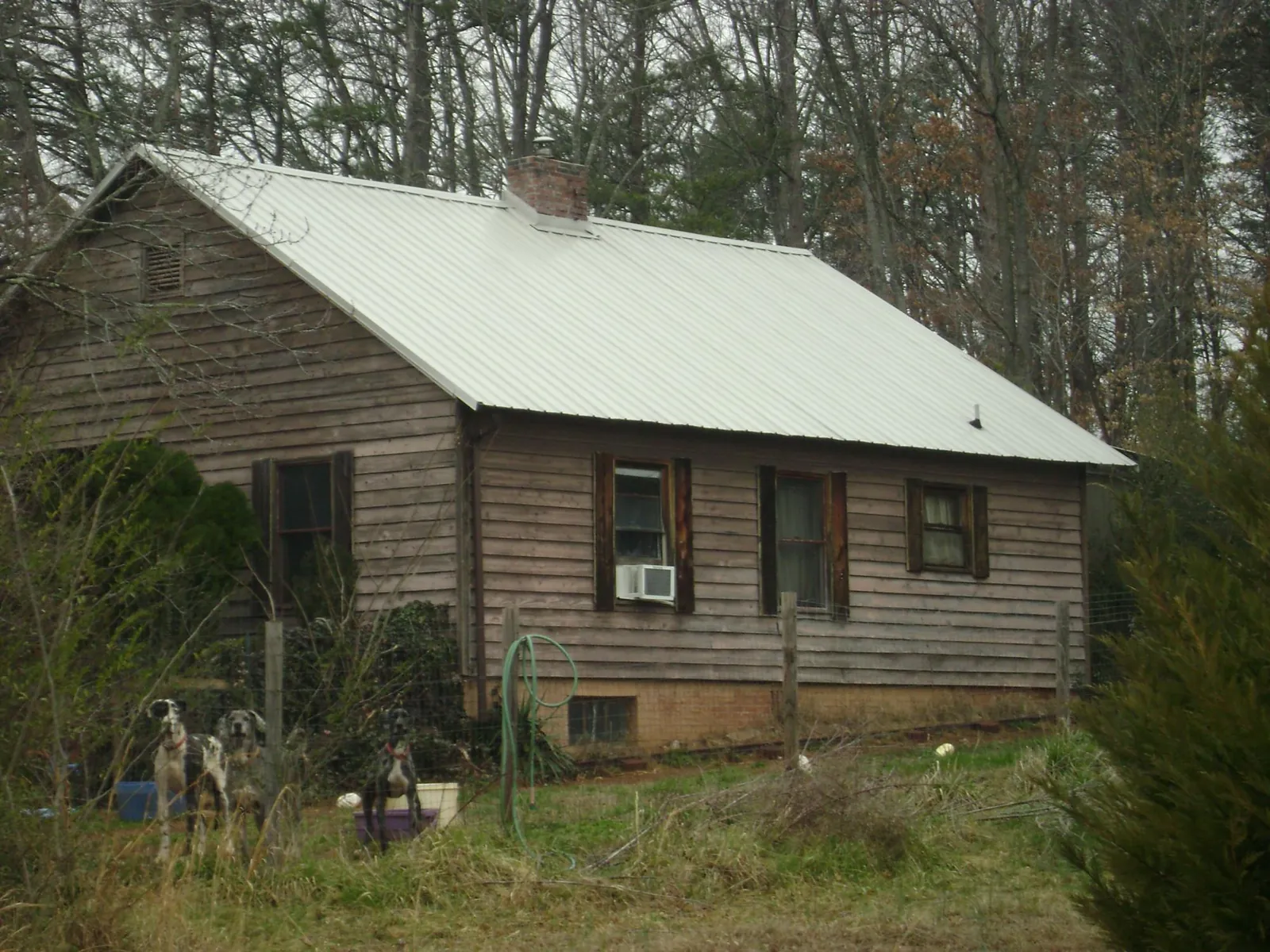 White metal roof on an old wood sided farmhouse, from a Asphalt Shingle Roof Repair job in Mayville